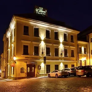 Hotel U Páva