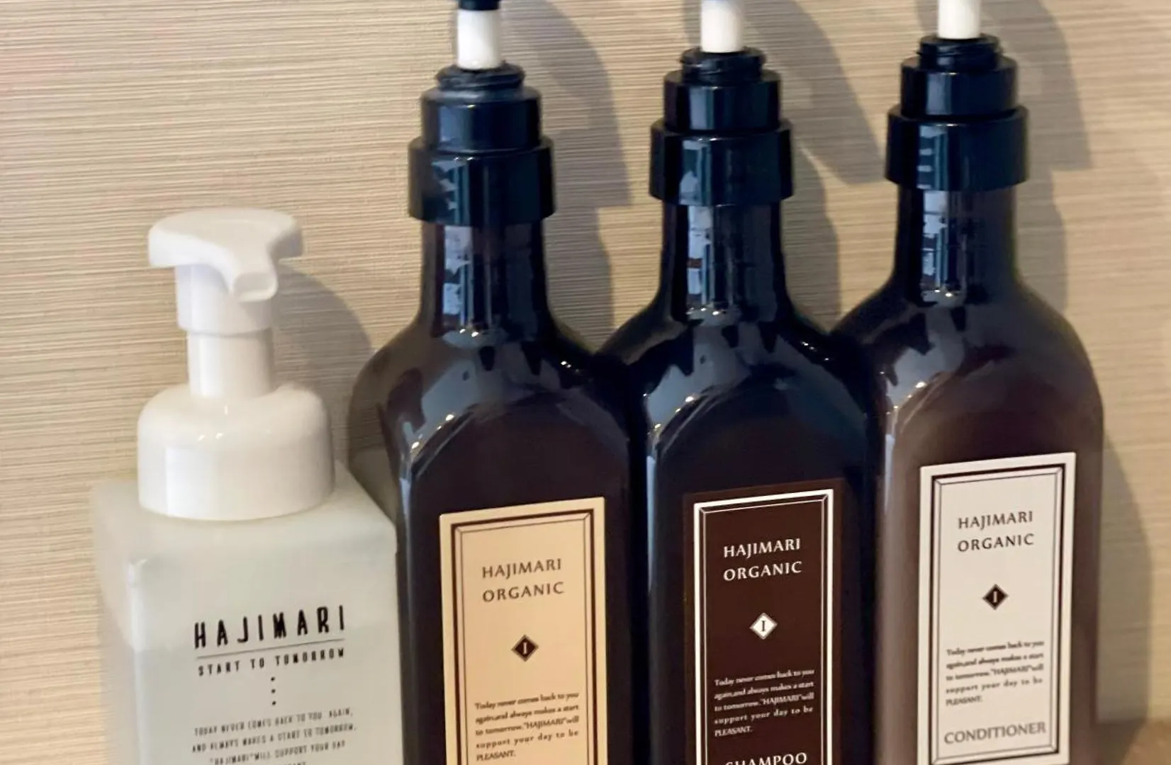 Henn Na Hotel Tokyo Nishikasai